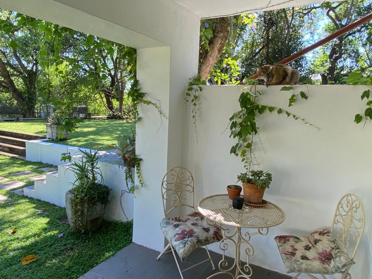 The Aloes Otel Mbombela Dış mekan fotoğraf